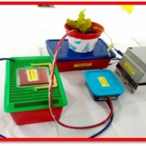 Group logo of KMPK'S GIRL